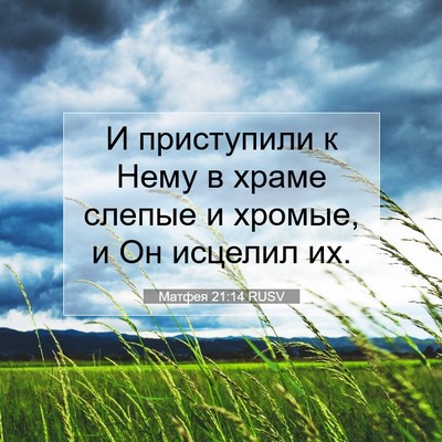 Picture 07 - Матфея 21:14 RUSV - И приступили к Нему в храме - Bible Verse Picture