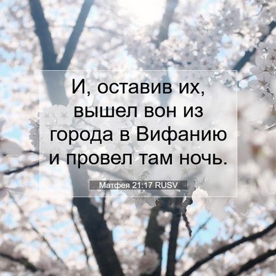 Picture 07 - Матфея 21:17 RUSV - И, оставив их, вышел вон из - Bible Verse Picture