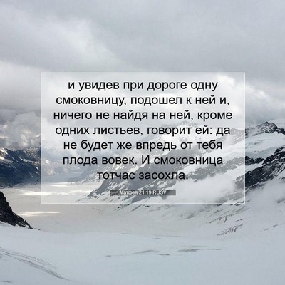 Picture 07 - Матфея 21:19 RUSV - и увидев при дороге одну - Bible Verse Picture