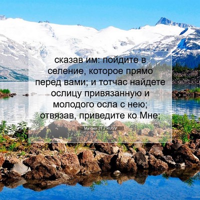 Picture 07 - Матфея 21:2 RUSV - сказав им: пойдите в - Bible Verse Picture