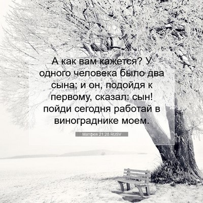 Picture 07 - Матфея 21:28 RUSV - А как вам кажется? У одного - Bible Verse Picture