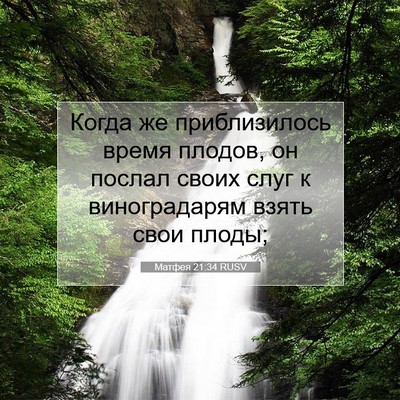 Picture 07 - Матфея 21:34 RUSV - Когда же приблизилось - Bible Verse Picture