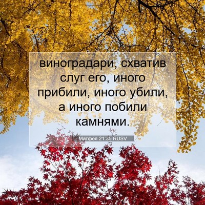 Picture 07 - Матфея 21:35 RUSV - виноградари, схватив слуг - Bible Verse Picture