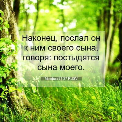 Picture 07 - Матфея 21:37 RUSV - Наконец, послал он к ним - Bible Verse Picture