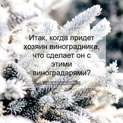 Picture 07 - Матфея 21:40 RUSV - Итак, когда придет хозяин - Bible Verse Picture