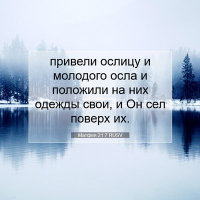 Picture 07 - Матфея 21:7 RUSV - привели ослицу и молодого - Bible Verse Picture