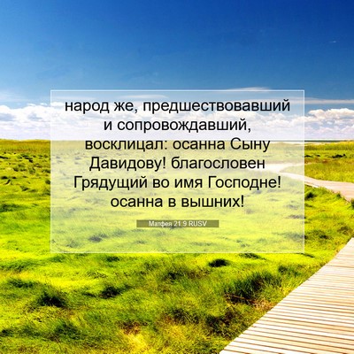 Picture 07 - Матфея 21:9 RUSV - народ же, предшествовавший - Bible Verse Picture