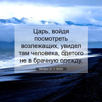 Picture 07 - Матфея 22:11 RUSV - Царь, войдя посмотреть - Bible Verse Picture