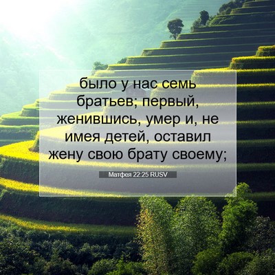 Picture 07 - Матфея 22:25 RUSV - было у нас семь братьев; - Bible Verse Picture