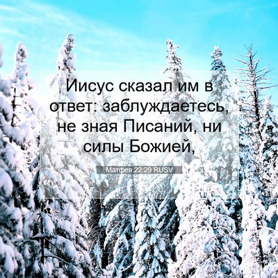 Picture 07 - Матфея 22:29 RUSV - Иисус сказал им в ответ: - Bible Verse Picture