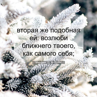Picture 07 - Матфея 22:39 RUSV - вторая же подобная ей: - Bible Verse Picture