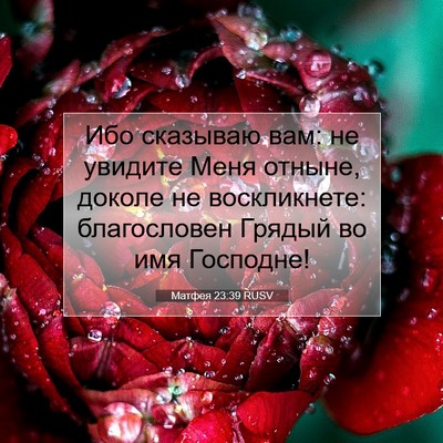 Picture 07 - Матфея 23:39 RUSV - Ибо сказываю вам: не - Bible Verse Picture
