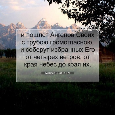 Picture 07 - Матфея 24:31 RUSV - и пошлет Ангелов Своих с - Bible Verse Picture