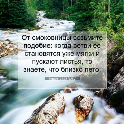 Picture 07 - Матфея 24:32 RUSV - От смоковницы возьмите - Bible Verse Picture