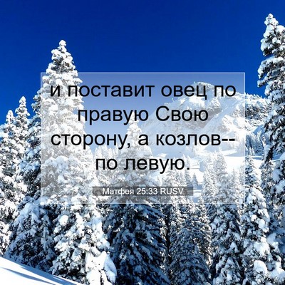 Picture 07 - Матфея 25:33 RUSV - и поставит овец по правую - Bible Verse Picture