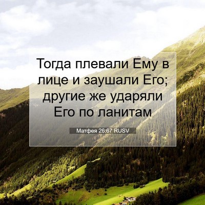 Picture 07 - Матфея 26:67 RUSV - Тогда плевали Ему в лице и - Bible Verse Picture