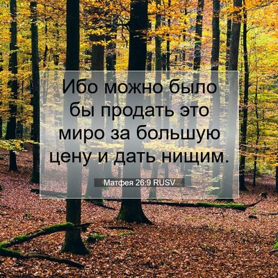Picture 07 - Матфея 26:9 RUSV - Ибо можно было бы продать - Bible Verse Picture