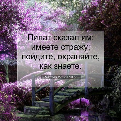 Picture 07 - Матфея 27:65 RUSV - Пилат сказал им: имеете - Bible Verse Picture