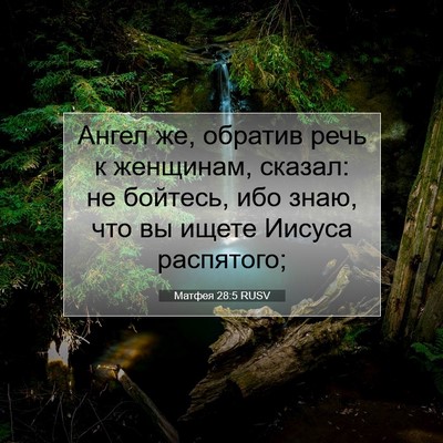 Picture 07 - Матфея 28:5 RUSV - Ангел же, обратив речь к - Bible Verse Picture