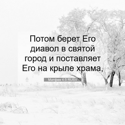 Picture 07 - Матфея 4:5 RUSV - Потом берет Его диавол в - Bible Verse Picture