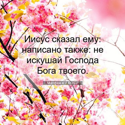 Picture 07 - Матфея 4:7 RUSV - Иисус сказал ему: написано - Bible Verse Picture