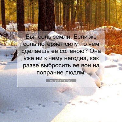 Picture 07 - Матфея 5:13 RUSV - Вы--соль земли. Если же соль - Bible Verse Picture