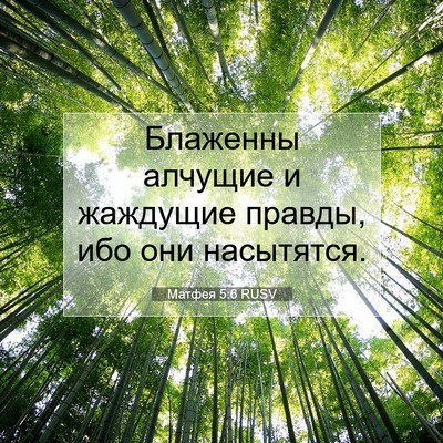 Picture 07 - Матфея 5:6 RUSV - Блаженны алчущие и - Bible Verse Picture