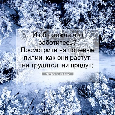Picture 07 - Матфея 6:28 RUSV - И об одежде что заботитесь? - Bible Verse Picture