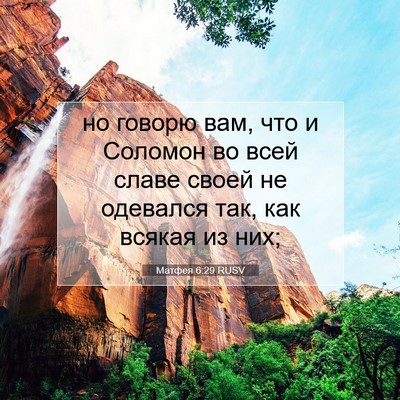 Picture 07 - Матфея 6:29 RUSV - но говорю вам, что и - Bible Verse Picture