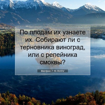 Picture 07 - Матфея 7:16 RUSV - По плодам их узнаете их. - Bible Verse Picture