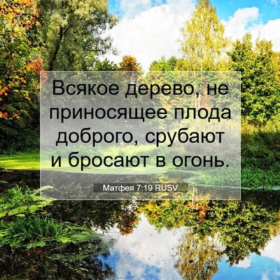 Picture 07 - Матфея 7:19 RUSV - Всякое дерево, не - Bible Verse Picture