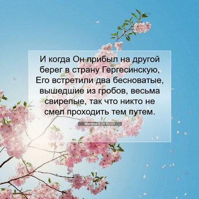 Picture 07 - Матфея 8:28 RUSV - И когда Он прибыл на другой - Bible Verse Picture