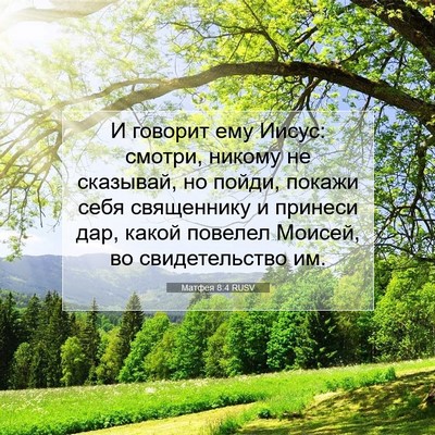 Picture 07 - Матфея 8:4 RUSV - И говорит ему Иисус: - Bible Verse Picture