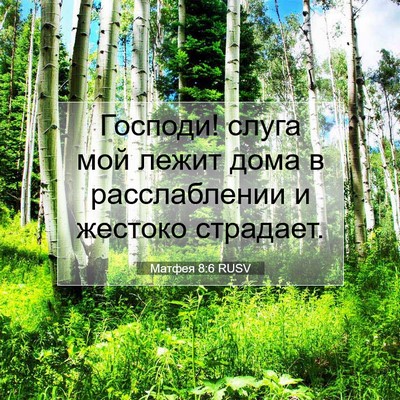 Picture 07 - Матфея 8:6 RUSV - Господи! слуга мой лежит - Bible Verse Picture
