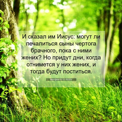 Picture 07 - Матфея 9:15 RUSV - И сказал им Иисус: могут ли - Bible Verse Picture