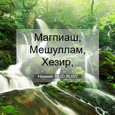 Picture 07 - Неемия 10:20 RUSV - Магпиаш, Мешуллам, - Bible Verse Picture