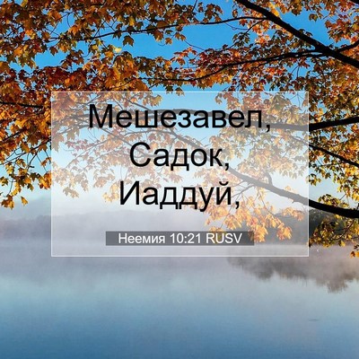 Picture 07 - Неемия 10:21 RUSV - Мешезавел, Садок, - Bible Verse Picture