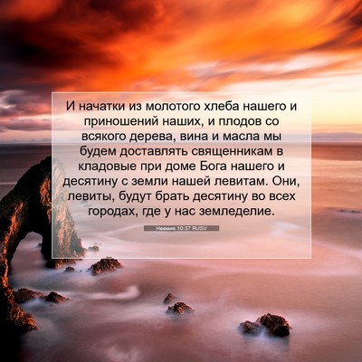 Picture 07 - Неемия 10:37 RUSV - И начатки из молотого - Bible Verse Picture