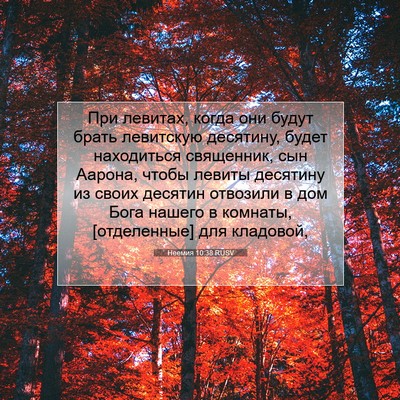 Picture 07 - Неемия 10:38 RUSV - При левитах, когда они - Bible Verse Picture