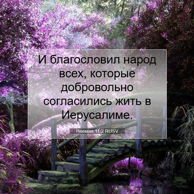 Picture 07 - Неемия 11:2 RUSV - И благословил народ всех, - Bible Verse Picture