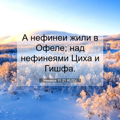 Picture 07 - Неемия 11:21 RUSV - А нефинеи жили в Офеле; над - Bible Verse Picture