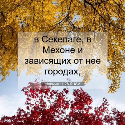 Picture 07 - Неемия 11:28 RUSV - в Секелаге, в Мехоне и - Bible Verse Picture