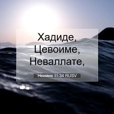 Picture 07 - Неемия 11:34 RUSV - Хадиде, Цевоиме, - Bible Verse Picture