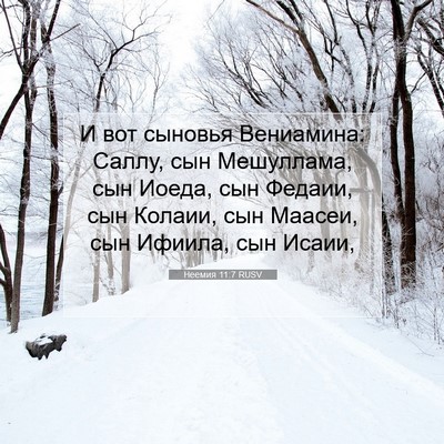 Picture 07 - Неемия 11:7 RUSV - И вот сыновья Вениамина: - Bible Verse Picture