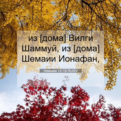 Picture 07 - Неемия 12:18 RUSV - из [дома] Вилги Шаммуй, из - Bible Verse Picture