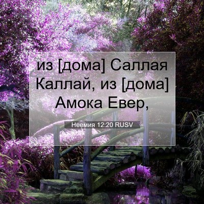 Picture 07 - Неемия 12:20 RUSV - из [дома] Саллая Каллай, из - Bible Verse Picture