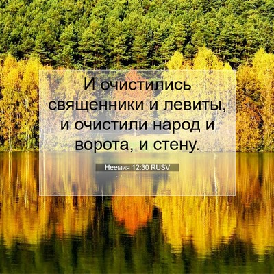 Picture 07 - Неемия 12:30 RUSV - И очистились священники и - Bible Verse Picture