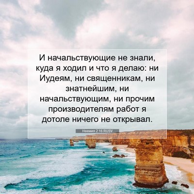 Picture 07 - Неемия 2:16 RUSV - И начальствующие не знали, - Bible Verse Picture