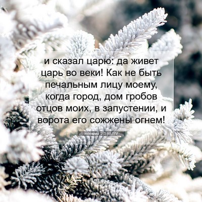 Picture 07 - Неемия 2:3 RUSV - и сказал царю: да живет - Bible Verse Picture