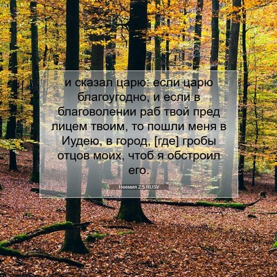 Picture 07 - Неемия 2:5 RUSV - и сказал царю: если царю - Bible Verse Picture